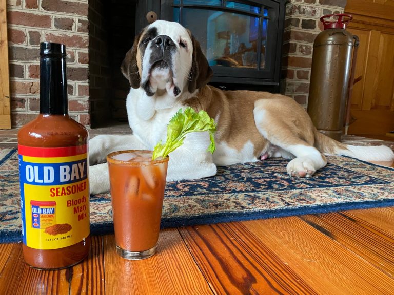 dog laying by old bay bloody mary mix