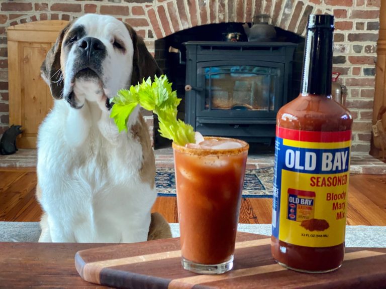 dog with old bay bloody mary mix bottle and cocktail