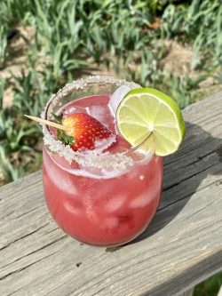GEORGE’S® Strawberry Margarita served in salt rimmed glass with strawberry and lime garnish